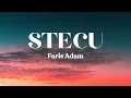 Lagu Faris Adam - Stecu Stecu (Lirik) | Lagu Timur Terbaru 2025