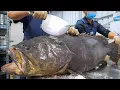 Download Lagu Amazing Fish Cutting Skills, Taiwanese Seafood Collection! / 驚人的技巧！魚的切割技能大合集