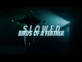 Lagu Billie Eilish - BIRDS OF A FEATHER (super slowed)