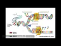 DNA Structure and Replication