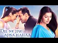 Download Lagu Dil Ne Jise Apna Kahaa (2004) - Superhit Hindi Movie | Salman Khan, Preity Zinta, Bhoomika Chawla