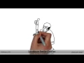 Ashburn Dentist Loudoun Smile Center Ashburn Dental Office