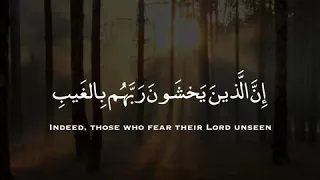 هاني الرفاعي من سورة الملك مقاطع انستقرام  هاني الرفاعي من سورة الملك مقاطع انستقرام