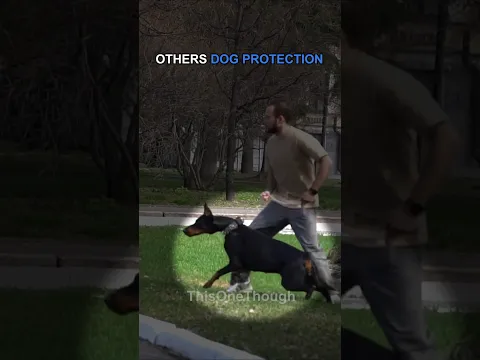 When Dogs Protect Their Owners #shorts