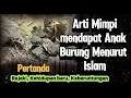 Download Lagu Inilah !! 4 Tafsir Arti Mimpi Anak Burung Menurut Ulama Islam, Bawa Kabar Baik Dan Rejeki.!