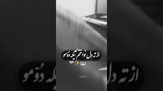 ارگ نوازی هنرمند معروف کشور 