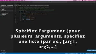 Comment passer des arguments a un script Python Visual Studio Code