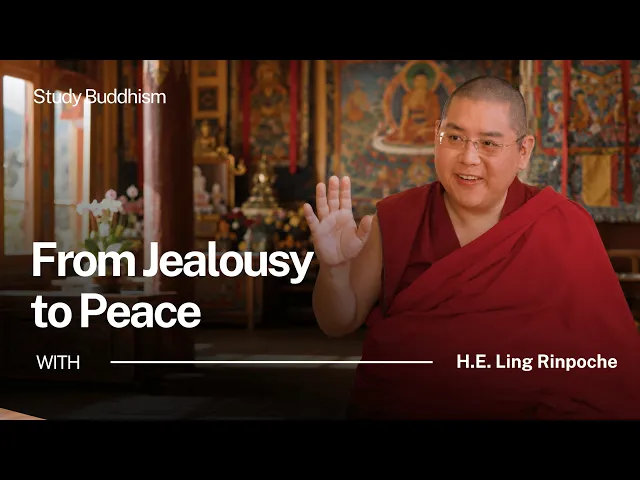 How to Work With Jealousy | Ling Rinpoche