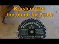 Forester trimmer brush cutter blade - Can Stihl handle it