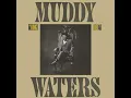 Muddy Waters  "Too Young to Know" 1980 (My Tip)