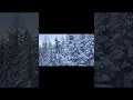 Download Lagu Snowy Wind Ambience | Calm Winter Vibes ❄️🌬️ | Relax \u0026 Breathe