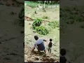 Download Lagu Epic Fall #funnyvideo