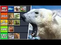 Cannibal Animal Tier List - Ranking 10 Animals Based On How Likely They Are To Become Cannibalistic