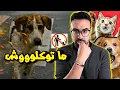 Download Lagu علاش بغاو يمنعو إطعام الكلاب والقطط الضالة؟ .. قانون غريب فيه الغرامة والحبس
