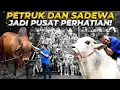 Lagu Pertama Kali Keluarin Petruk Sapi Raffi Ahmad dan Sadewa Di Depan Ratusan Orang(Reuni SMP gw)