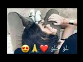 مصطفى العبدالله و علي جاسم (حلو) حصريا 2019تصميم يخبل مع الغنيه/الوصف 👇👇