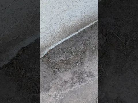 Dirt on top of the patio? Ooops!