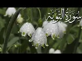 Download Lagu Quran Tilawat ,Surah Al-Taubah -سورۃالتوبہRecite by Qari Abdul Rahman Al-Sudais,Islam19160.