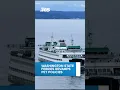 Washington State Ferries rolling out updated pet policy
