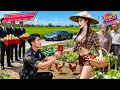 Lagu CEO Forçado a Casar Finge Ser Segurança Pobre para Pedir a Moça do Campo, Ela é Herdeira Bilionária