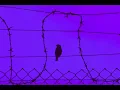 plenka - Nightmare (slowed + reverb)