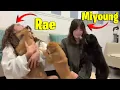 Valkyrae and Miyoung get attacked by the cutest puppies