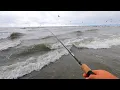 Download Lagu ABSOLUTE MAYHEM - Striped Bass Blitz on the Beach - Fish Every Cast