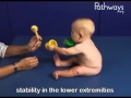 Download Lagu Typische en atypische ontwikkeling van een 6 maanden oude baby