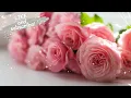 Download Lagu romantic cinematic music | Music sping