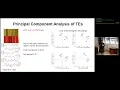 Trace elements in speleothems