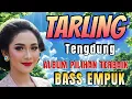 Download Lagu TARLING TENGDUNG__ ALBUM LAGU PILIHAN YANG VIRAL DAN ENAK DI DENGAR_ LAGU DAERAH PANTURA