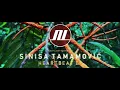 Sinisa Tamamovic - Busted