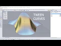 Concept Modelling with Tween Curves in Rhino 3D