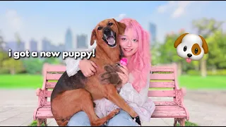 i adopted a dog...