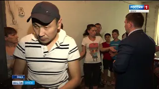 Жизнь под открытым небом