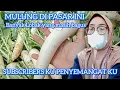 Download Lagu MULUNG DI PASAR INI BANYAK LOBAK YANG MASIH BAGUS || SUBSCRIBER KU PENYEMANGAT KU 🥰🥰