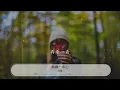 蹦蹦一串心 - 沈雁『花兒開得一串串 我夢也一串串』【動態歌詞Lyrics】