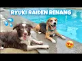 Download Lagu RYUKI RAIDEN BERENANG DI WATERPARK ANABUL‼️😍💦