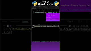 Python How To Sort a List by Element Length with a Lambda Function