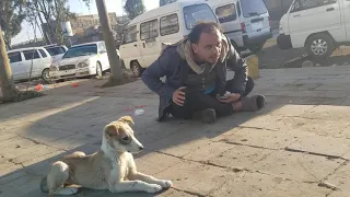 الكلاب اوفي من بني ادم احلا مقطع لزين خديف وهو بيدرب احد افراده 