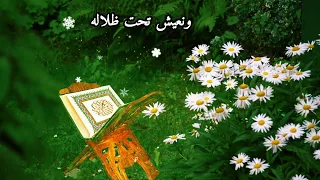 كم يهتدي الحيران فيه ماهر زين اناشید اسلاميه ماهر زين حالات واتس اب دينيه 