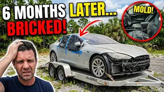 I Left My Broken Tesla on a Trailer for 6 Months... Big Mistake