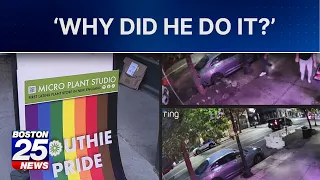 Outraged Boston business owner sounds off after vandalism of Southie Pride sign