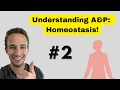 Homeostasis 2 Minute Crash Course Human Body