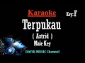 Lagu Terpukau (Karaoke) Astrid Nada Pria/ Cowok/ Male key F