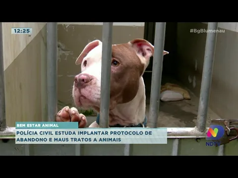 Polícia Civil estuda implantar protocolo de abandono e maus tratos a animais