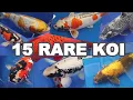 Download Lagu 15 Most RARE and BEAUTIFUL KOI Fish Varieties