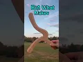 Download Lagu The Best BOOMERANG I’ve Ever Made 🪃🤯🎯#great #cool #boomerang #awesome #funny