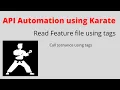 06 - Karate read API Calling feature file using tags Read Authentication Token from other file