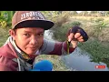 mancing ikan nila umpan lumut di sungai Bakaran//cara agar ikan nila cepat berkumpul